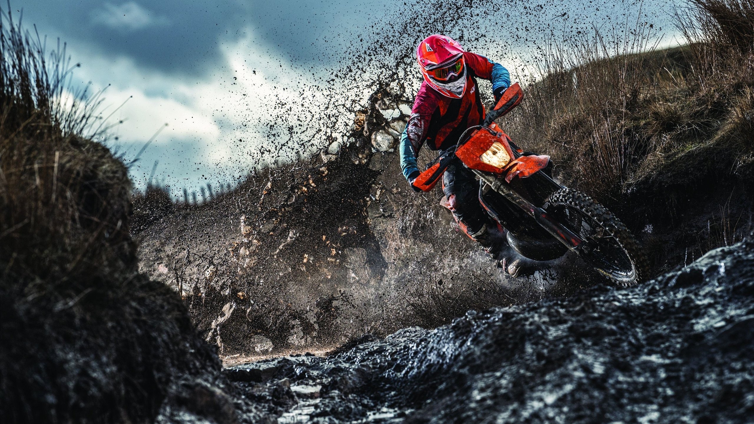 世界健身健体综合赛 展现力量与舞台表现力